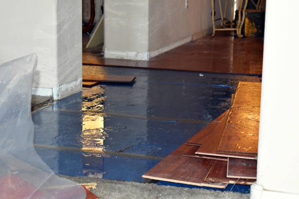 Professional Burst Pipe Water Damage technician working in Lexington, MA
